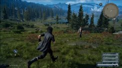media/64/nyescreensfra_1876493t.jpg