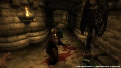 media/64/trenyefraelder_56425t.jpg