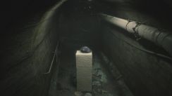 Related Image