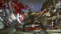 media/66/ninjagaidenii_billeder_146696t.jpg