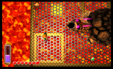 Related Image