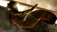 media/67/femnyefrasplinter_56718t.jpg