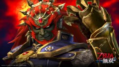 media/67/hyrulewarriorshas_1376764t.jpg