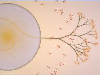media/69/moreflowersheaded_256946t.jpg