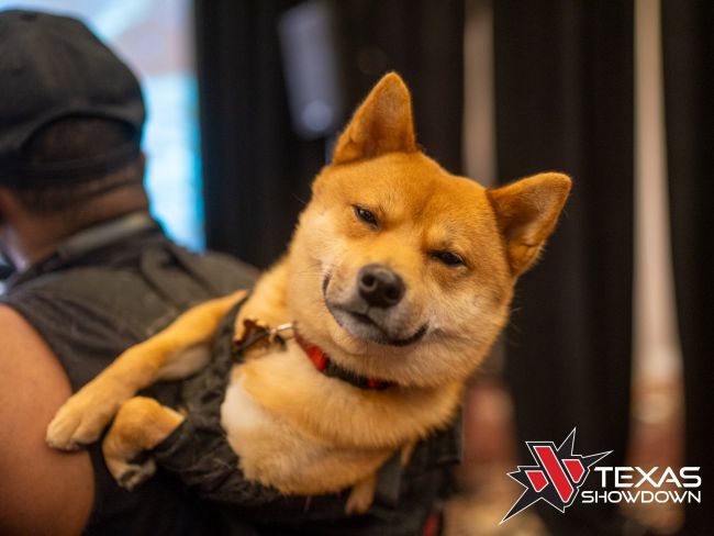Tekken 8