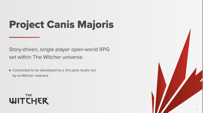 Et nyt Witcher-spil kommer fra en endnu ukendt tredjepart