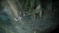 Related Image