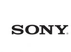 Sony var meget afvisende over for crossplay på PS4 ifølge nye lækkede dokumenter