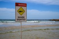 media/73/australiaclosesdozens_4787363t.jpg