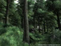 media/73/elderscrolls4_47396t.jpg