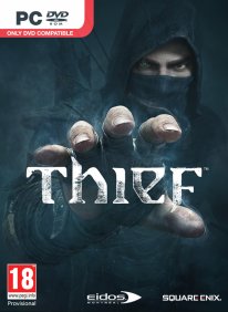 media/74/thief_897424t.jpg