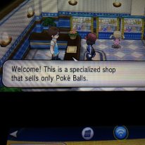 media/75/nintendogjordehembesok_947524t.jpg