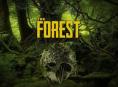 The Forest