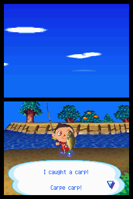 Animal Crossing: Wild World