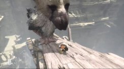 media/80/lastguardianuppvisat__1478054t.jpg
