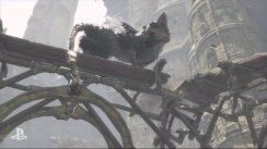 media/80/lastguardianuppvisat__1478064t.jpg