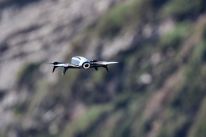 media/80/unitedstatessoftens_4778083t.jpg