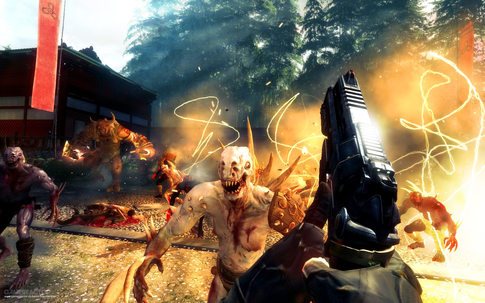 Shadow Warrior