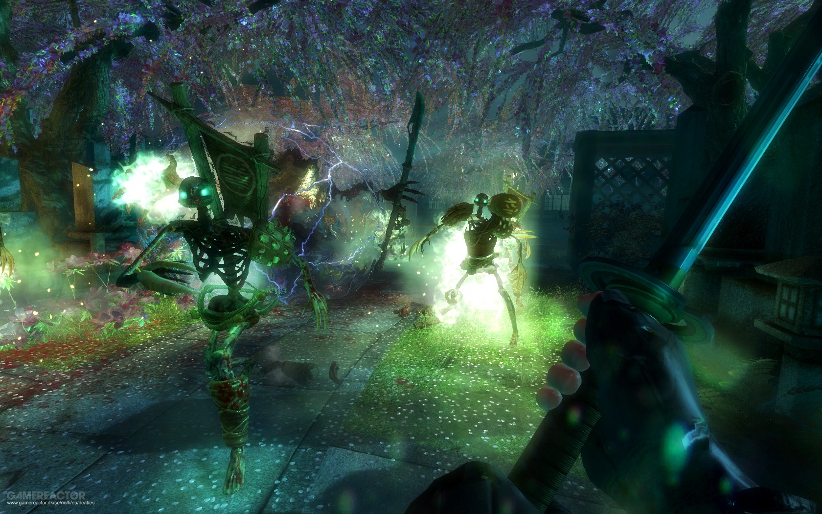 Shadow Warrior