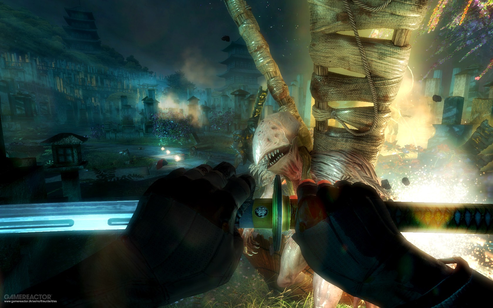 Shadow Warrior