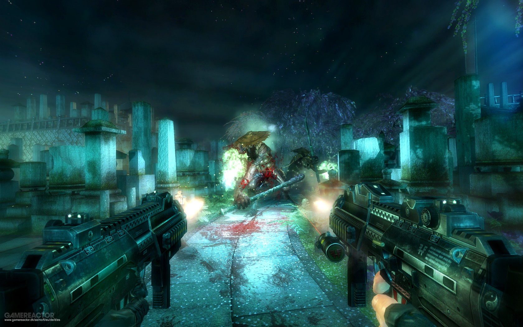 Shadow Warrior