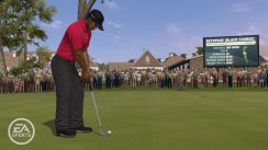Tiger Woods PGA Tour 11 Move