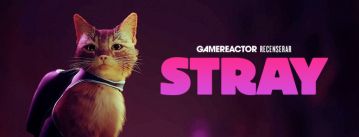 media/84/stray_3828413t.jpg