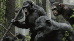 media/85/abernesplanet_1218504t.gif