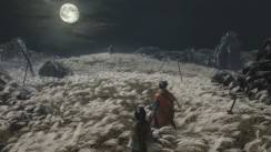 media/87/sekiro_2488723t.jpg