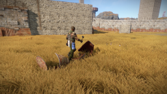 media/88/rust_opdateringfjernererfarings_1908843t.png