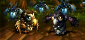 Nyt velgørenheds-pet i WoW