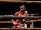 Terence Crawford annoncerer sin pensionering fra boksning tre m&aring;neder efter at have skrevet historie, og forlader boksningen ubesejret