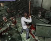 Related Image