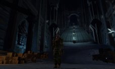 Related Image