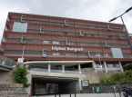 Fransk hospital evakueret efter artillerigranat fra F&oslash;rste Verdenskrig fundet i patientens endetarm under operation