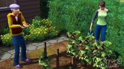 media/94/sims3billeder_149421t.jpg