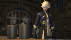 media/95/newfinalfantasy_1669593t.png
