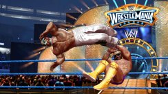 media/96/wweallstars_239639t.jpg