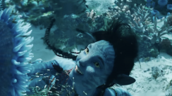 media/97/avatar3kan_3899713t.png