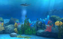media/98/eccodolphinfar_739811t.png
