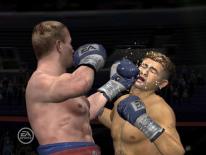 media/99/nyabilderfranfight_29962t.jpg