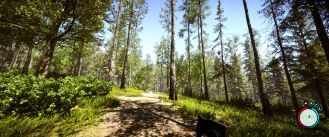 media/99/sonsforest_3979903t.jpg