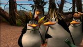 Madagascar: Escape 2 Africa - Penguins Trailer