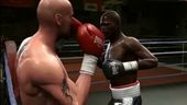 Fight Night Round 4 - Boxer Styles Doc